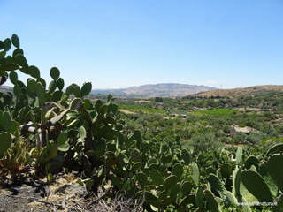 ndolito-21-06-2017 11-41-22